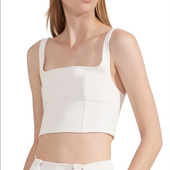 dion lee bustier top